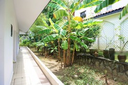 Ming Teck Park (D10), Semi-Detached #198462772